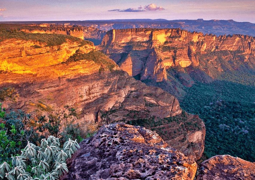 Chapada dos Guimarães a beleza da natureza