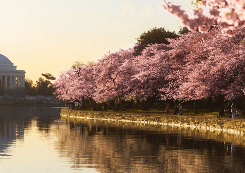 Vancouver na primavera