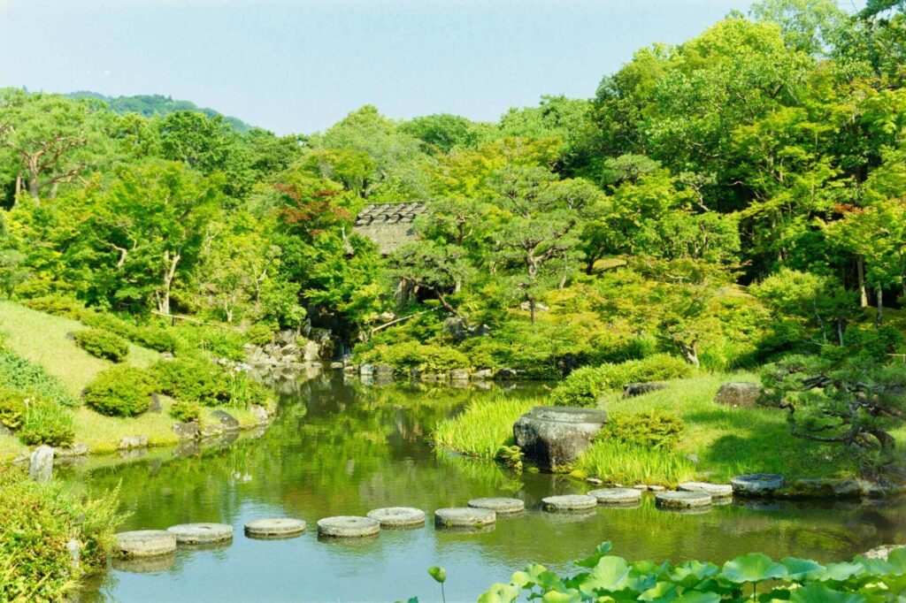 Nara no Japão: Oque fazer?