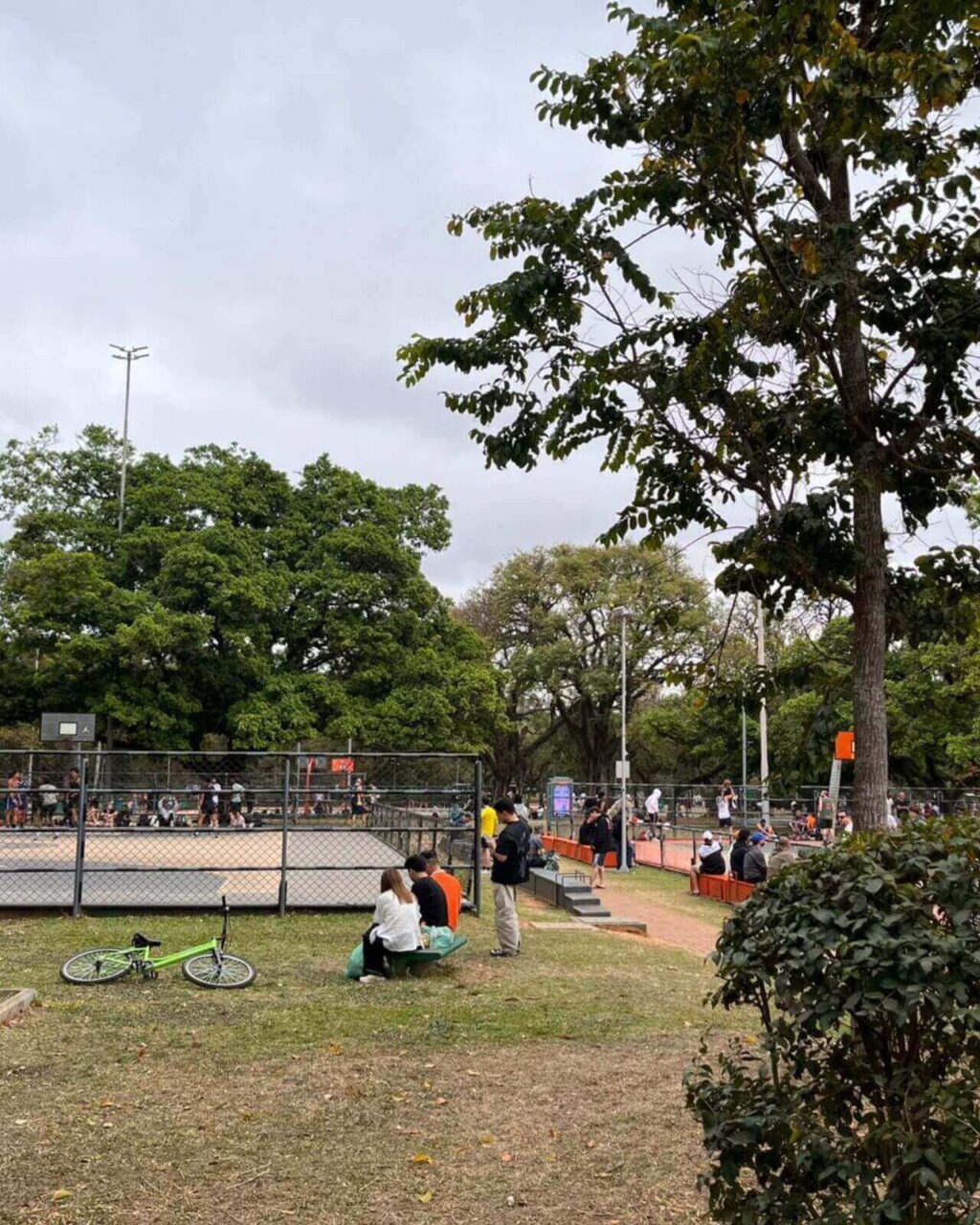 Parque ibirapuera em São Paulo - SP