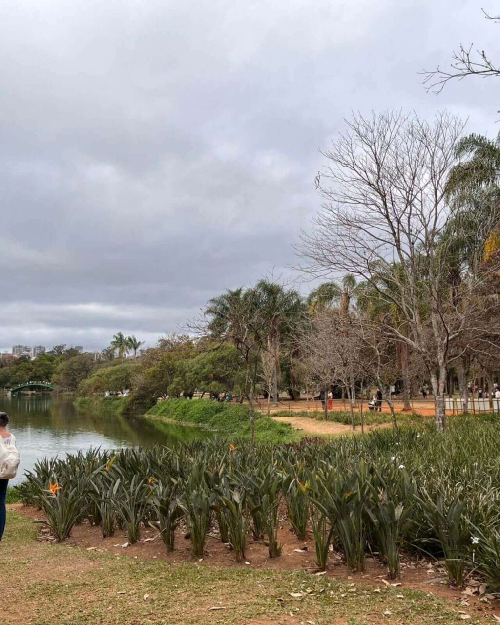 Parque ibirapuera em São Paulo - SP