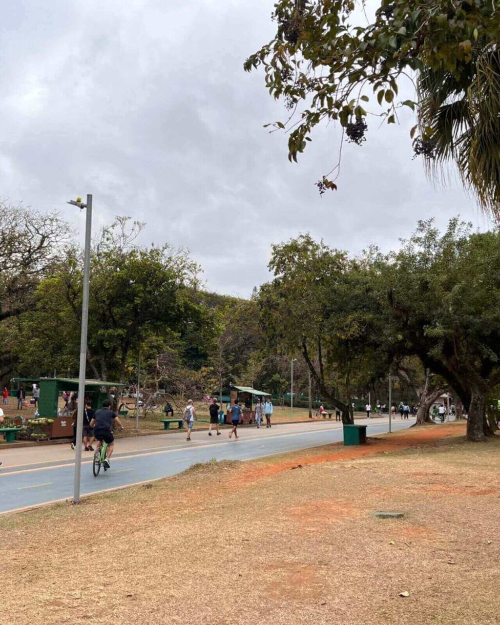 Parque ibirapuera em São Paulo - SP