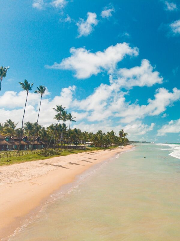 Maceió Dicas Imperdíveis para Sua Viagem