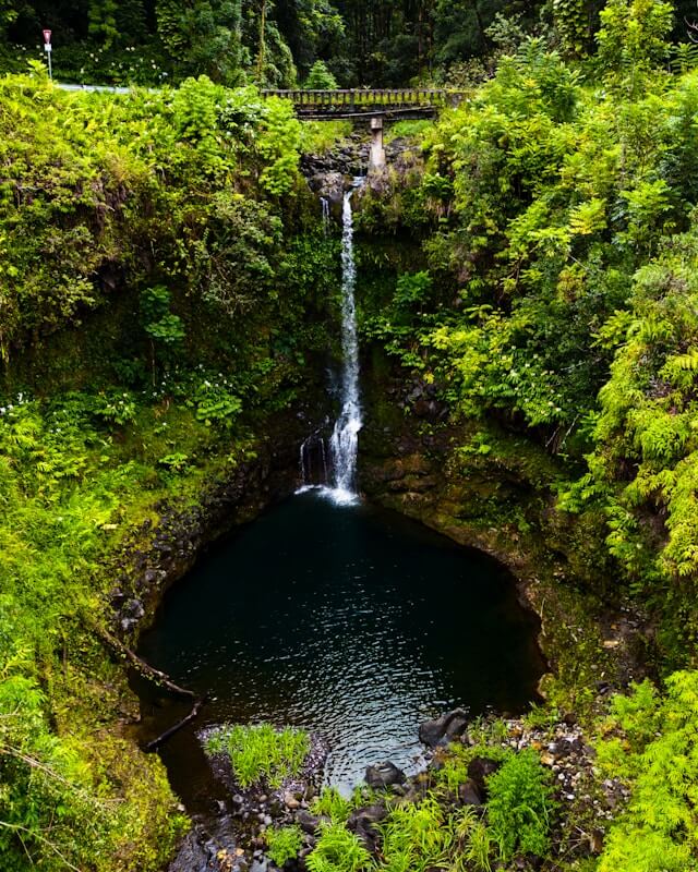 Ilha de Maui, Havaí Um Paraíso de Belezas Naturais
