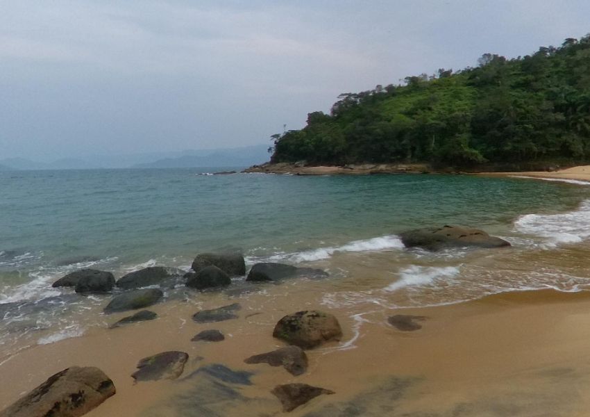 Parque Estadual da Ilha Anchieta no Litoral de São Paulo