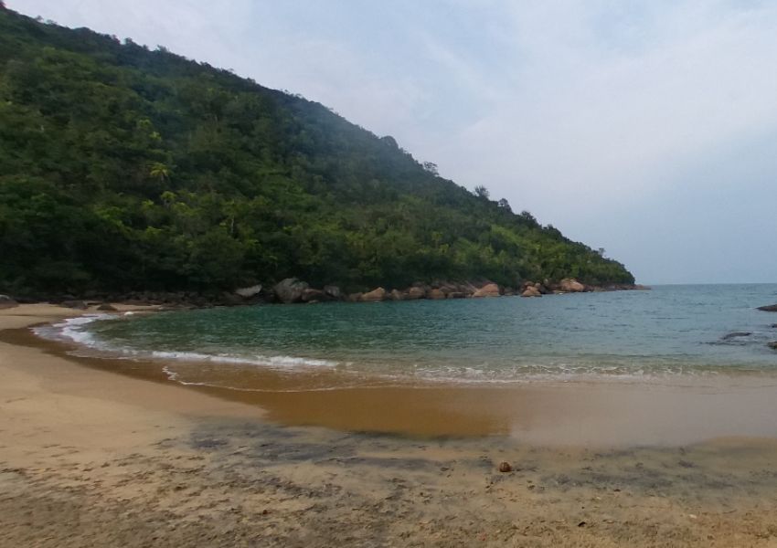Parque Estadual da Ilha Anchieta no Litoral de São Paulo