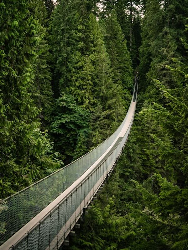 Capilano River Regional Park natureza em Vancouver