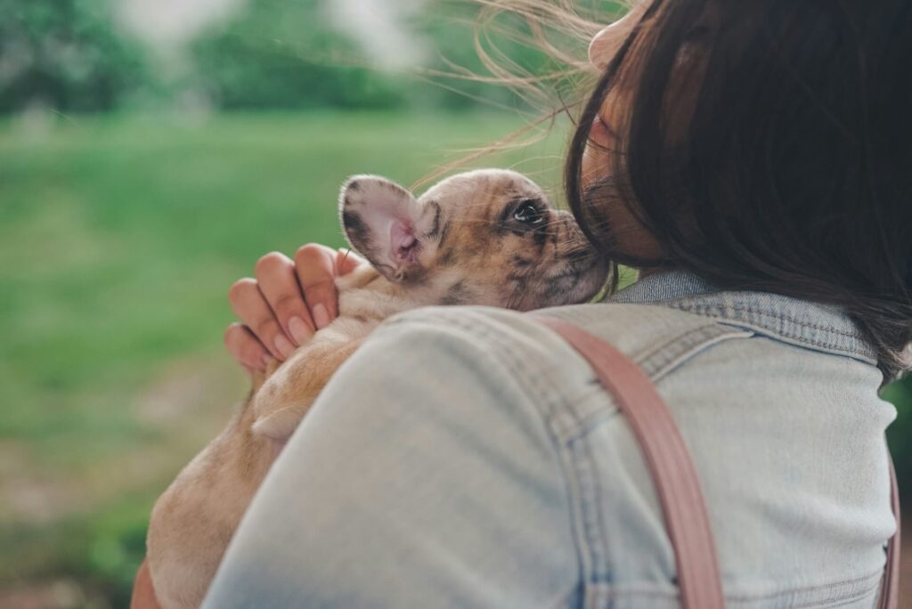 animais de suporte emocional