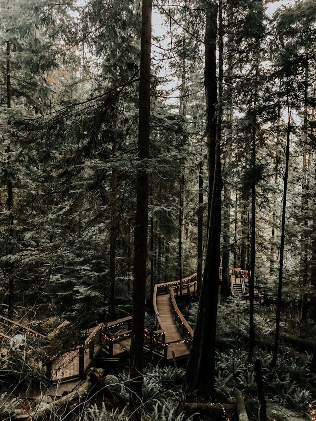 Capilano River Regional Park natureza em Vancouver