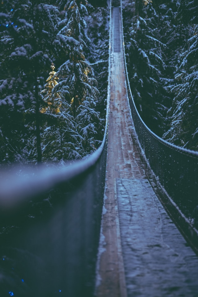 Capilano River Regional Park natureza em Vancouver