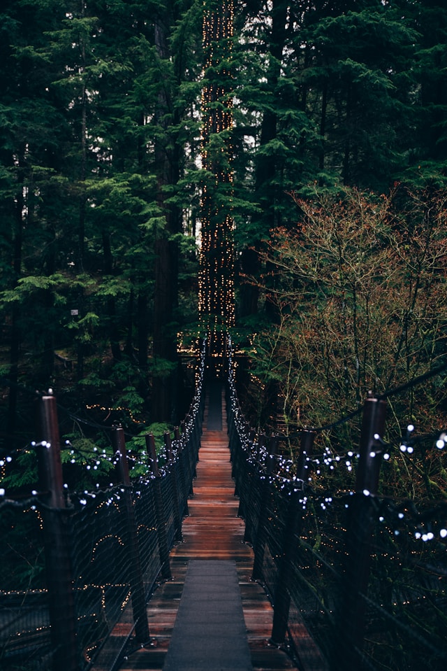 Capilano River Regional Park natureza em Vancouver