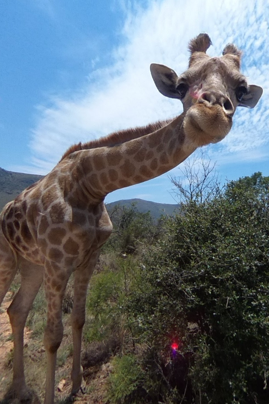 Joanesburgo: Sua Viagem no Coração da África do Sul