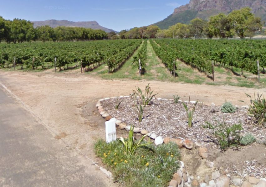 Boschendal Groot Drakenstein Destino Gastronómico da África do Sul