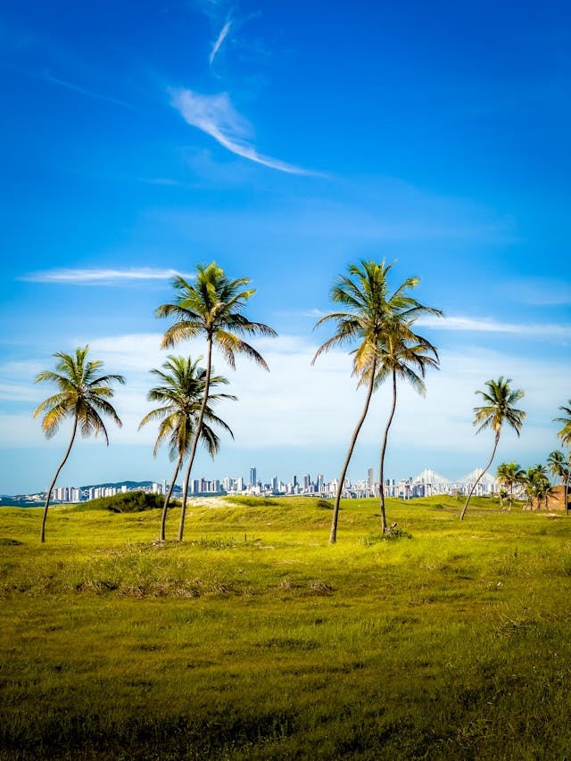 Natal, Brasil: O Destino Ideal para Sol, Praias e História