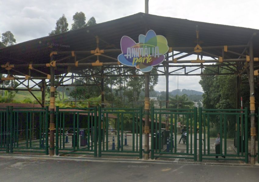 Animália Park em Cotia São Paulo