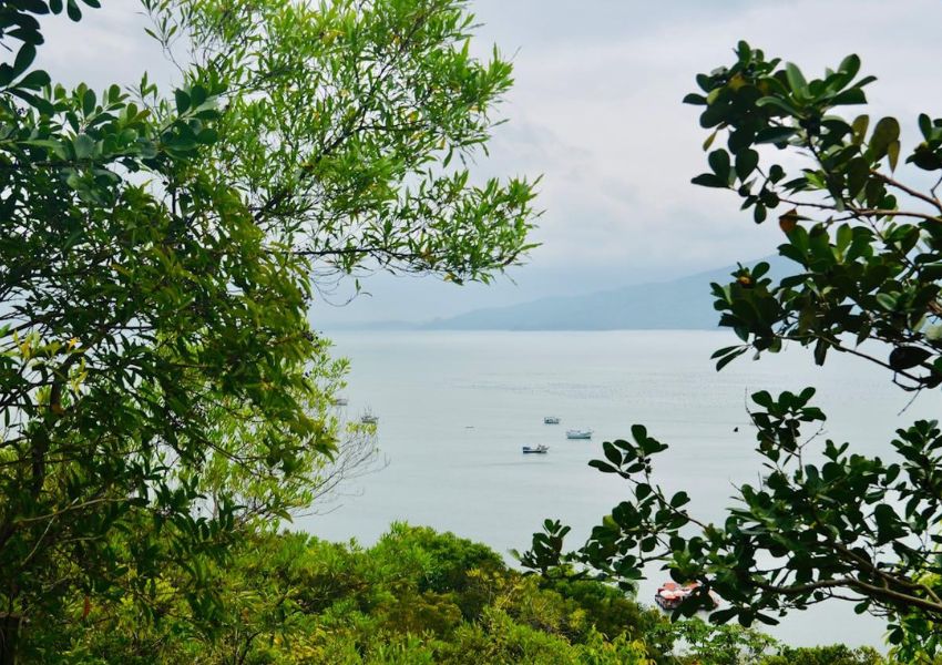 Destino com 39 Praias de SC agora Cobra Taxa Ambiental