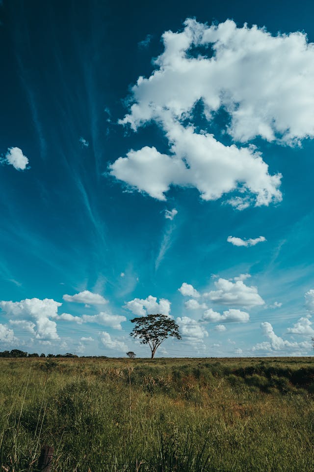 Mirassol interior de SP, principais pontos turisticos